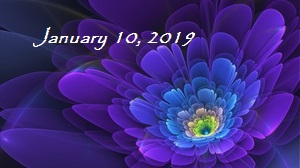 purple_flower_fractal_81490_300x168